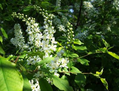 Прикрепленное изображение: sc4.jpg